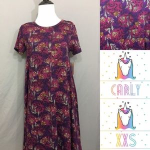 NWT LuLaRoe Carly Dress